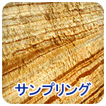 �T���v�����O